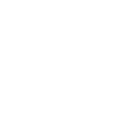 Asesoramiento Técnico