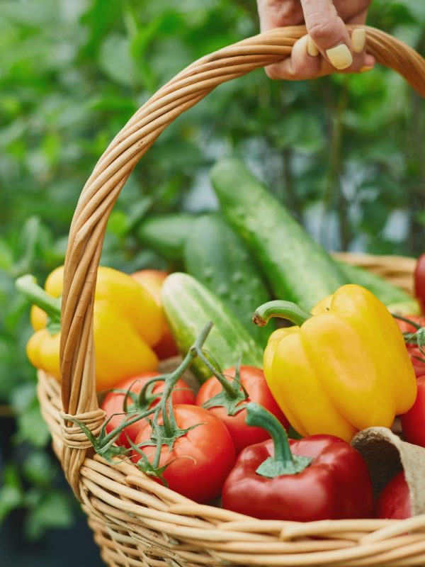 basket-full-of-vegetables.jpg